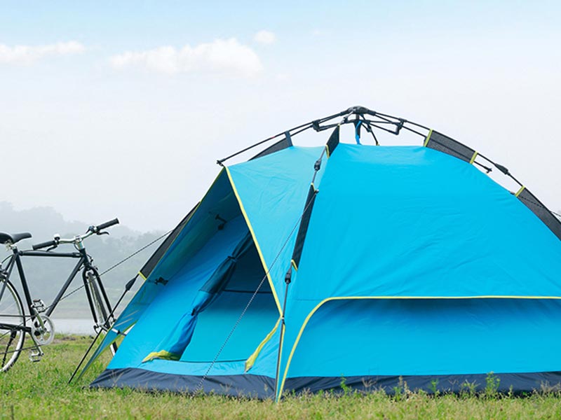 野营香蕉福利视频